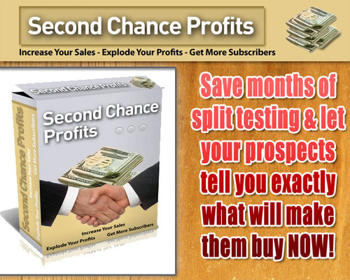 Product picture 2nd Chance Profits - an innovative survey with MRR